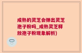 成熟的灵芝会弹出灵芝孢子粉吗_成熟灵芝释放孢子粉现象解析)