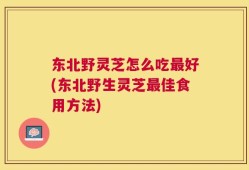 东北野灵芝怎么吃最好(东北野生灵芝最佳食用方法)
