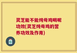 灵芝能不能炖母鸡喝呢功效(灵芝炖母鸡的营养功效及作用)