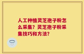 人工种植灵芝孢子粉怎么采集？灵芝孢子粉采集技巧和方法？