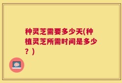 种灵芝需要多少天(种植灵芝所需时间是多少？)