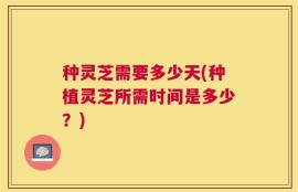 种灵芝需要多少天(种植灵芝所需时间是多少？)