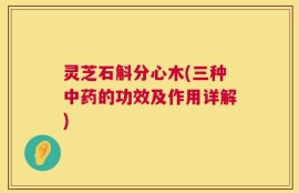 灵芝石斛分心木(三种中药的功效及作用详解)