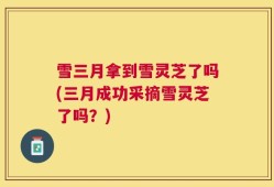 雪三月拿到雪灵芝了吗(三月成功采摘雪灵芝了吗？)