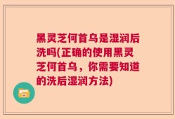 黑灵芝何首乌是湿润后洗吗(正确的使用黑灵芝何首乌，你需要知道的洗后湿润方法)