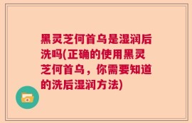 黑灵芝何首乌是湿润后洗吗(正确的使用黑灵芝何首乌，你需要知道的洗后湿润方法)