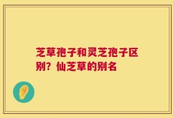 芝草孢子和灵芝孢子区别？仙芝草的别名