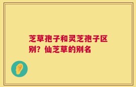 芝草孢子和灵芝孢子区别？仙芝草的别名