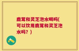 鹿茸和灵芝泡水喝吗(可以饮用鹿茸和灵芝泡水吗？)