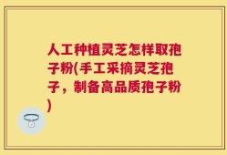 人工种植灵芝怎样取孢子粉(手工采摘灵芝孢子，制备高品质孢子粉)
