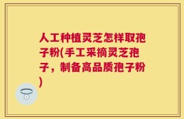 人工种植灵芝怎样取孢子粉(手工采摘灵芝孢子，制备高品质孢子粉)