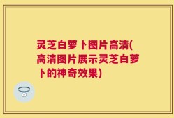 灵芝白萝卜图片高清(高清图片展示灵芝白萝卜的神奇效果)