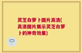 灵芝白萝卜图片高清(高清图片展示灵芝白萝卜的神奇效果)