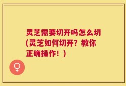 灵芝需要切开吗怎么切(灵芝如何切开？教你正确操作！)