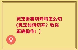 灵芝需要切开吗怎么切(灵芝如何切开？教你正确操作！)