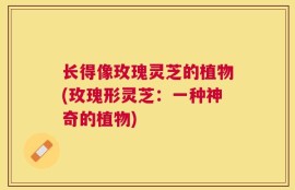 长得像玫瑰灵芝的植物(玫瑰形灵芝：一种神奇的植物)