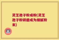 灵芝孢子粉成粉(灵芝孢子粉研磨成为细腻粉末)