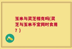 玉米与灵芝相克吗(灵芝与玉米不宜同时食用？)