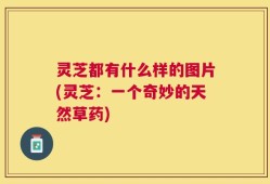 灵芝都有什么样的图片(灵芝：一个奇妙的天然草药)