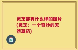 灵芝都有什么样的图片(灵芝：一个奇妙的天然草药)