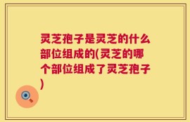 灵芝孢子是灵芝的什么部位组成的(灵芝的哪个部位组成了灵芝孢子)