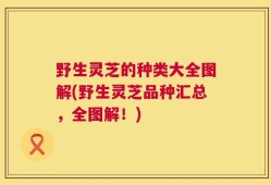 野生灵芝的种类大全图解(野生灵芝品种汇总，全图解！)