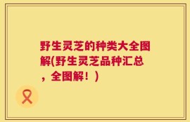 野生灵芝的种类大全图解(野生灵芝品种汇总，全图解！)