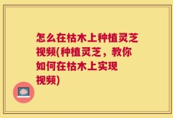 怎么在枯木上种植灵芝视频(种植灵芝，教你如何在枯木上实现  视频)