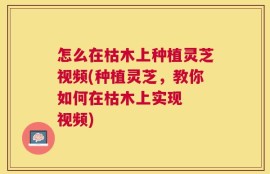 怎么在枯木上种植灵芝视频(种植灵芝，教你如何在枯木上实现  视频)