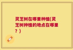 灵芝树在哪里种植(灵芝树种植的地点在哪里？)