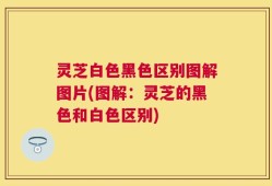 灵芝白色黑色区别图解图片(图解：灵芝的黑色和白色区别)