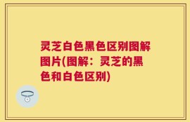 灵芝白色黑色区别图解图片(图解：灵芝的黑色和白色区别)