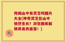 传闻山中有灵芝吗图片大全(神奇灵芝在山中悄然生长？浏览图库解锁其诡异面容！)