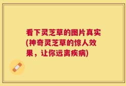 看下灵芝草的图片真实(神奇灵芝草的惊人效果，让你远离疾病)