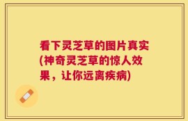 看下灵芝草的图片真实(神奇灵芝草的惊人效果，让你远离疾病)