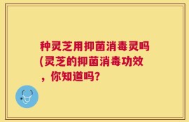 种灵芝用抑菌消毒灵吗(灵芝的抑菌消毒功效，你知道吗？