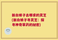 新白娘子去哪求的灵芝(新白娘子寻灵芝：探寻神奇草药的秘密)