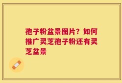 孢子粉盆景图片？如何推广灵芝孢子粉还有灵芝盆景
