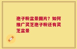 孢子粉盆景图片？如何推广灵芝孢子粉还有灵芝盆景