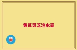黄芪灵芝泡水壶