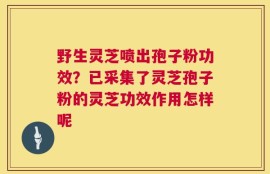 野生灵芝喷出孢子粉功效？已采集了灵芝孢子粉的灵芝功效作用怎样呢