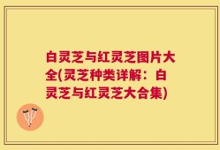 白灵芝与红灵芝图片大全(灵芝种类详解：白灵芝与红灵芝大合集)
