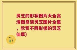 灵芝的形状图片大全高清图高清灵芝图片全集，欣赏不同形状的灵芝仙草)