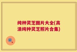 纯种灵芝图片大全(高清纯种灵芝照片合集)