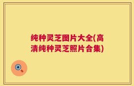 纯种灵芝图片大全(高清纯种灵芝照片合集)