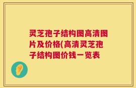 灵芝孢子结构图高清图片及价格(高清灵芝孢子结构图价钱一览表