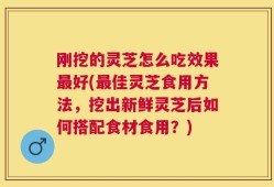刚挖的灵芝怎么吃效果最好(最佳灵芝食用方法，挖出新鲜灵芝后如何搭配食材食用？)