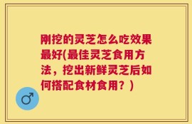 刚挖的灵芝怎么吃效果最好(最佳灵芝食用方法，挖出新鲜灵芝后如何搭配食材食用？)