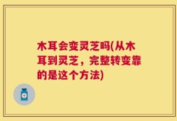 木耳会变灵芝吗(从木耳到灵芝，完整转变靠的是这个方法)