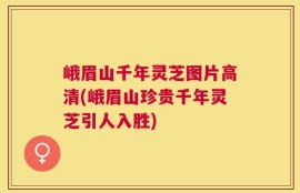 峨眉山千年灵芝图片高清(峨眉山珍贵千年灵芝引人入胜)